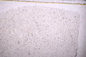 Plane Polarized, E38792
