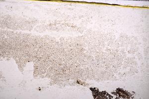 Plane Polarized, E38806