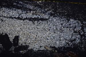 Cross Polarized, E38806