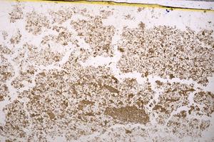 Plane Polarized, E38807