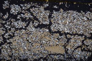 Cross Polarized, E38807