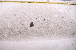 Plane Polarized, E38876