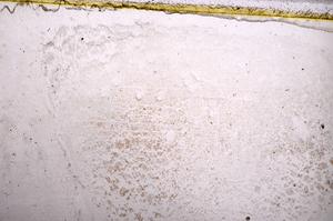 Plane Polarized, E38882