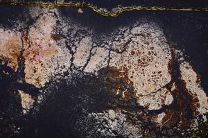 Cross Polarized, E38890