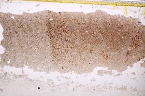 Plane Polarized, E38892