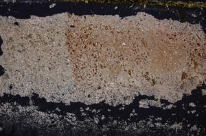 Cross Polarized, E38892