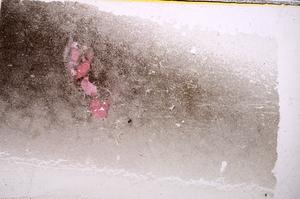 Plane Polarized, E38893