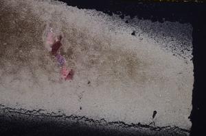 Cross Polarized, E38893