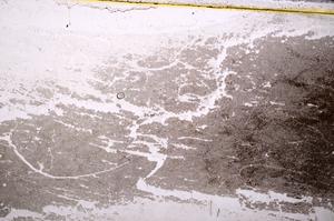 Plane Polarized, E38895