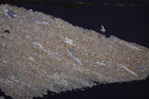 Cross Polarized, E38901