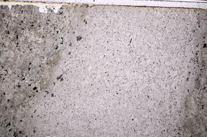 Plane Polarized, E38902