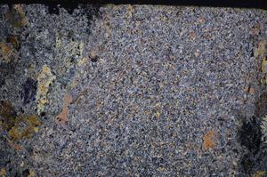 Cross Polarized, E38902