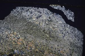 Cross Polarized, E38904