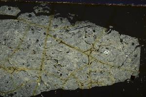 Cross Polarized, E38921