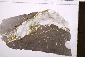 Plane Polarized, E38928