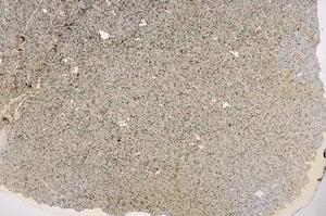 Plane Polarized, E38933/A