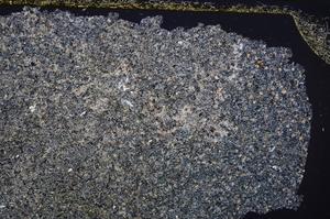 Cross Polarized, E38934