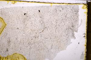 Plane Polarized, E38945