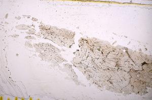 Plane Polarized, E38960