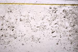 Plane Polarized, E38979/C