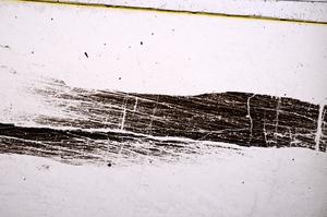 Plane Polarized, E38984