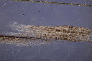 Cross Polarized, E38984
