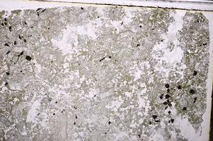 Plane Polarized, E38987