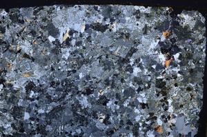 Cross Polarized, E38987
