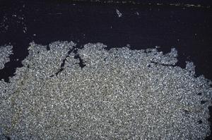 Cross Polarized, E39023