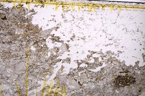 Plane Polarized, E39098