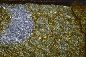 Cross Polarized, E39104