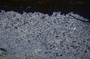 Cross Polarized, E39110