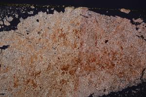 Cross Polarized, E39119/A