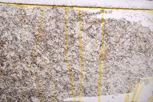 Plane Polarized, E39131