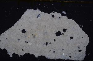 Cross Polarized, E39146