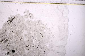 Plane Polarized, E39147