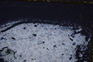 Cross Polarized, E39149