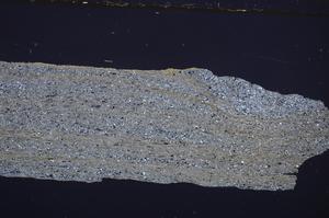 Cross Polarized, E39153