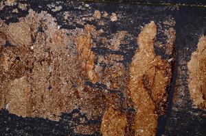 Cross Polarized, E39191