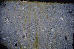 Cross Polarized, E39223