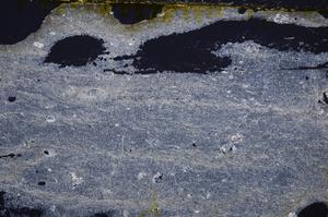 Cross Polarized, E39225