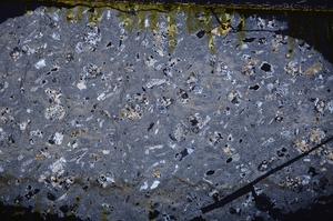 Cross Polarized, E39232