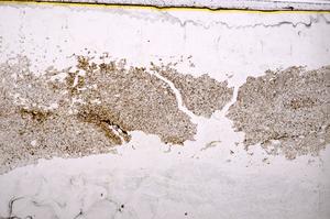 Plane Polarized, E39268