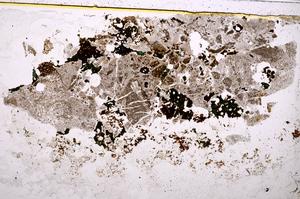 Plane Polarized, E39268/A