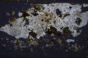 Cross Polarized, E39268/A