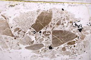 Plane Polarized, E39268/N