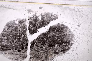 Plane Polarized, E39273