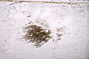 Plane Polarized, E39280