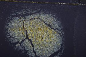 Cross Polarized, E39282/A