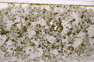 Plane Polarized, E39284